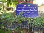 คณะผู้บริหาร, กำนัน, สมาชิก อบต., ผู้นำ, เจ้าหน้าที่ ,ประชาช
